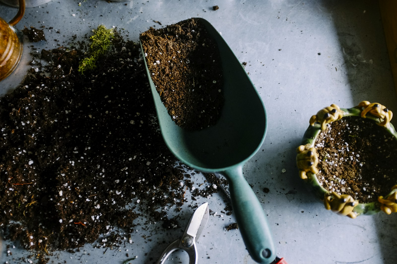 Natural turf — Berwick